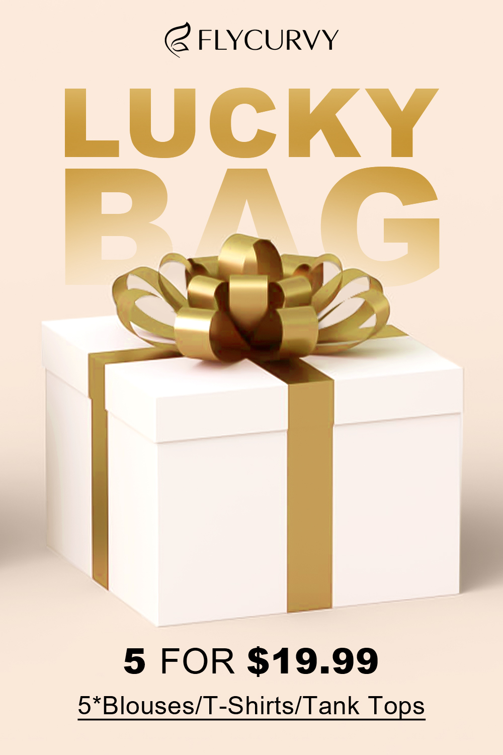 Lucky Bag-5 Random T-Shirts Or Blouses Or Tank Tops